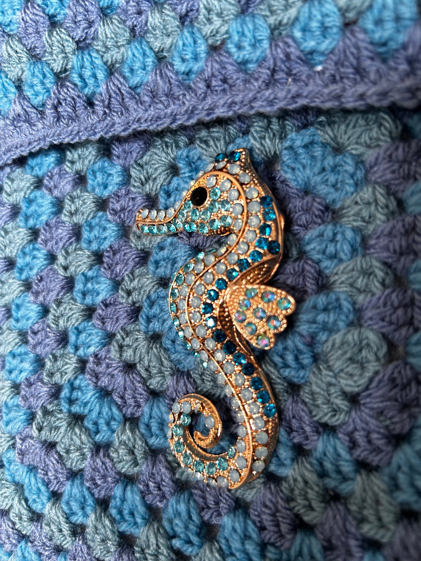 The Seahorse Explorer